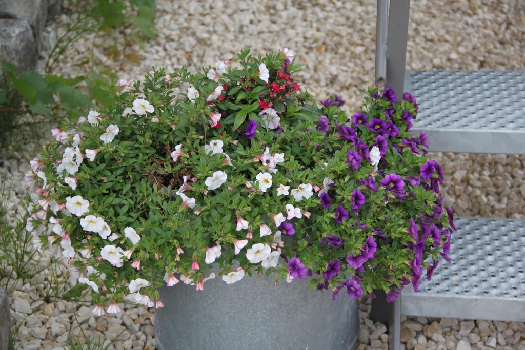 Aux Charmes De La Campagne Vila Hautrage Exterior foto